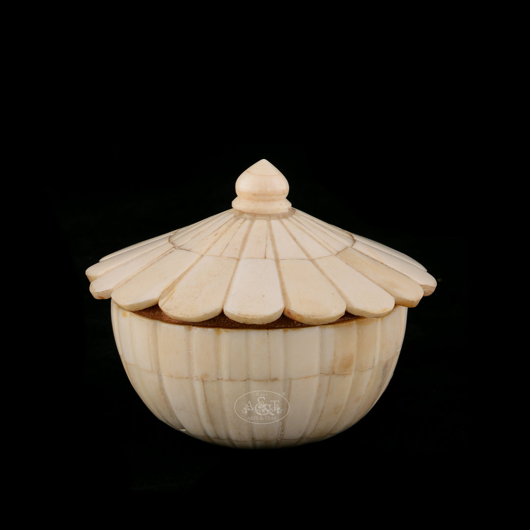 Camel Bone Fitted Wooden Box