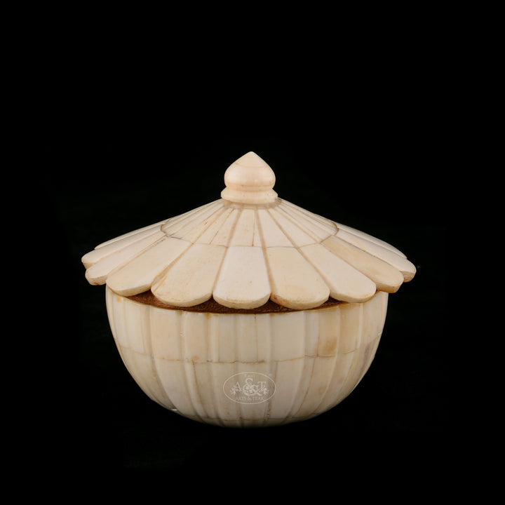 Camel Bone Fitted Wooden Box