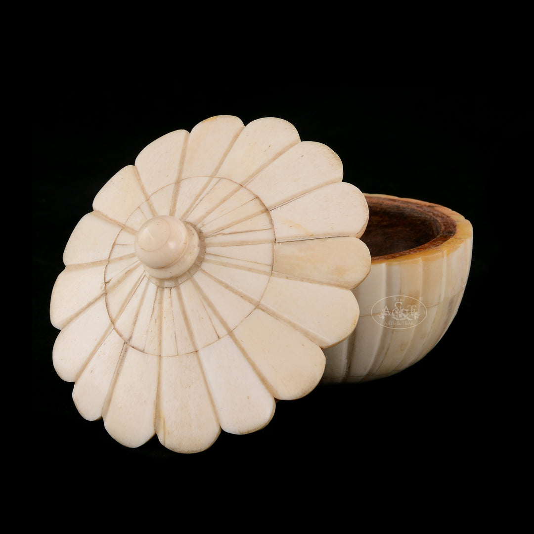 Camel Bone Fitted Wooden Box
