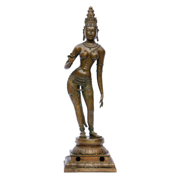 Bronze Sivagami