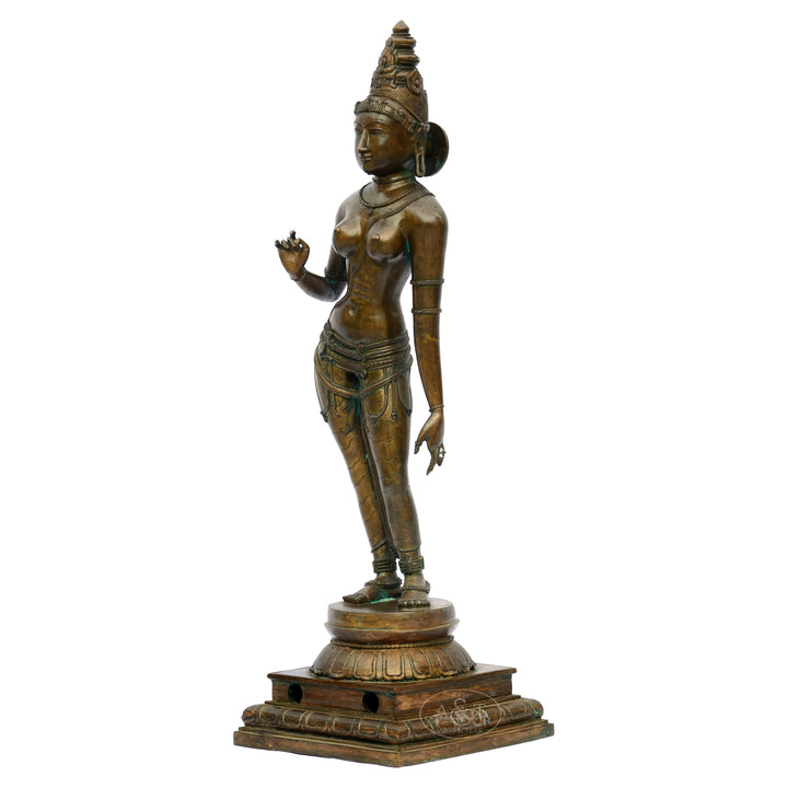 Bronze Sivagami