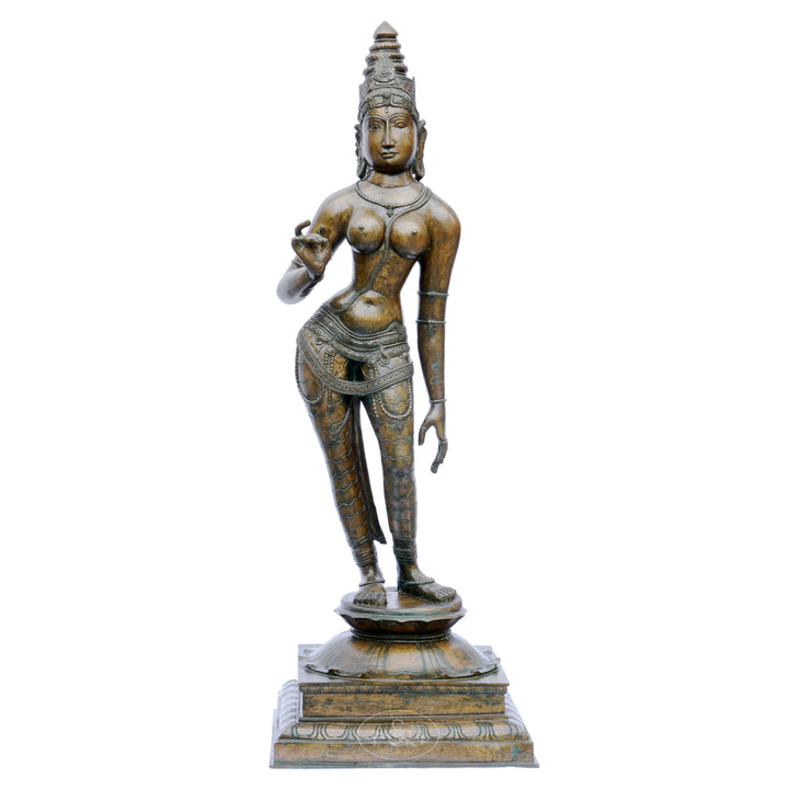 Bronze Sivagami