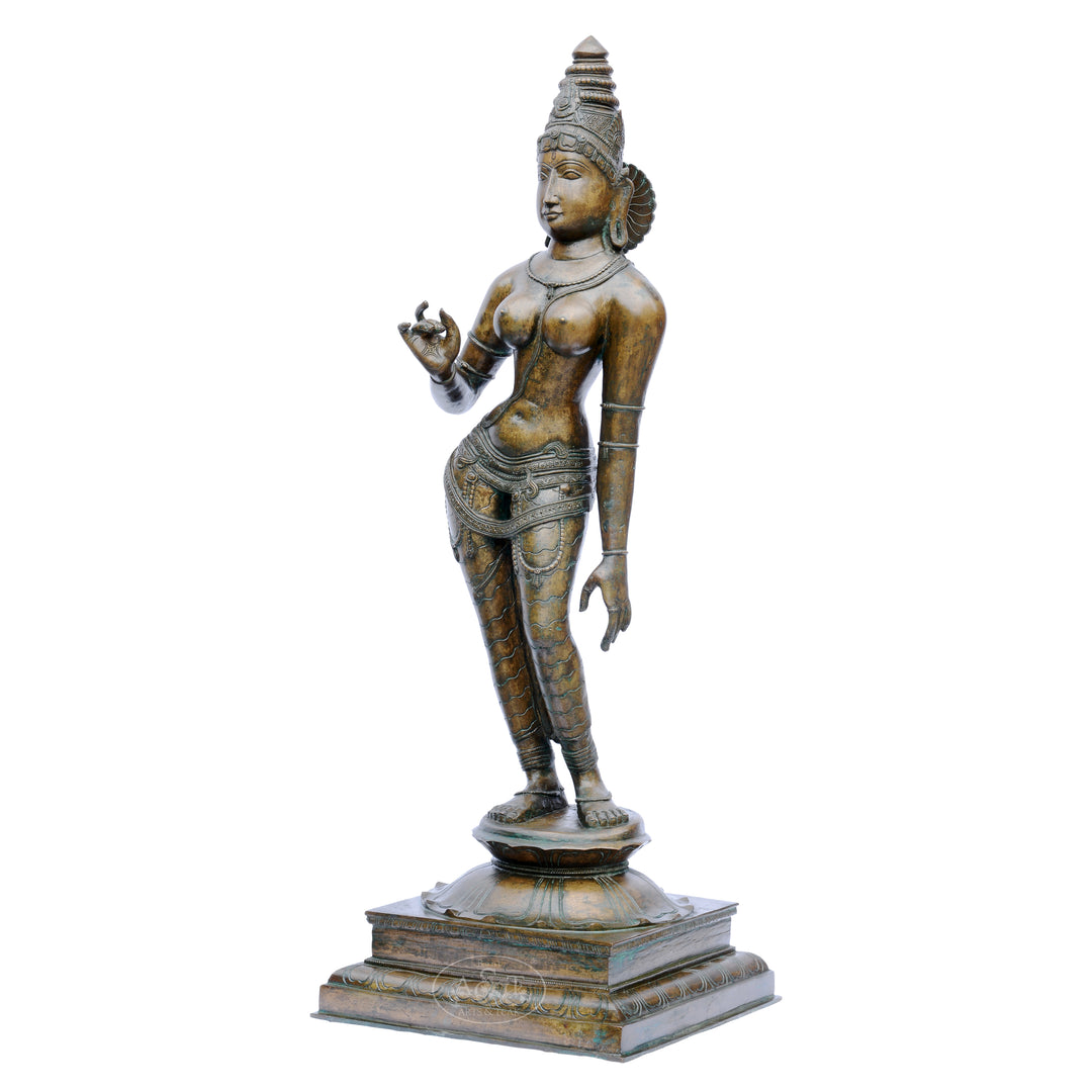 Bronze Sivagami