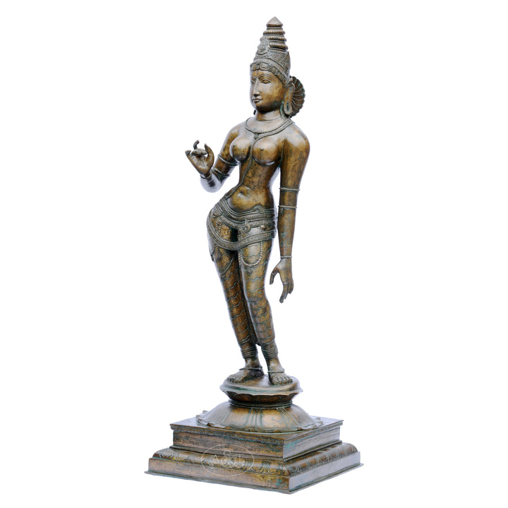 Bronze Sivagami