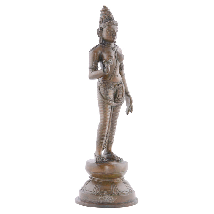 Bronze Devi