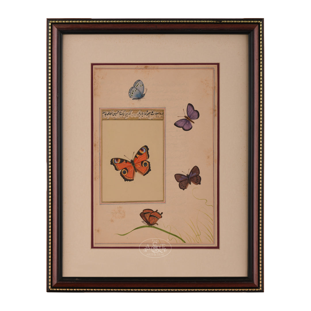 Painting on Urdu Manuscript  - Butterfly
