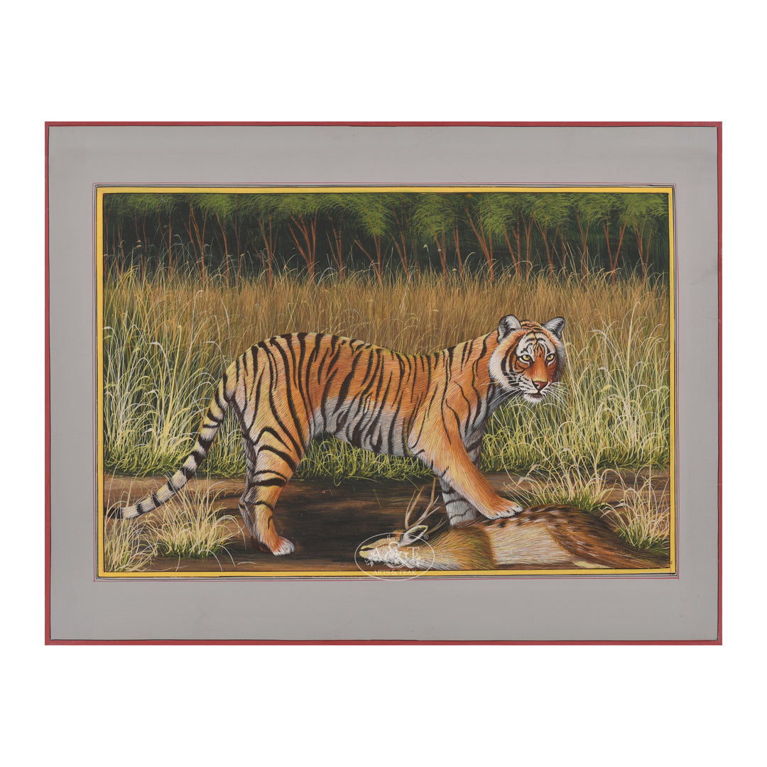 Tiger in the wild
