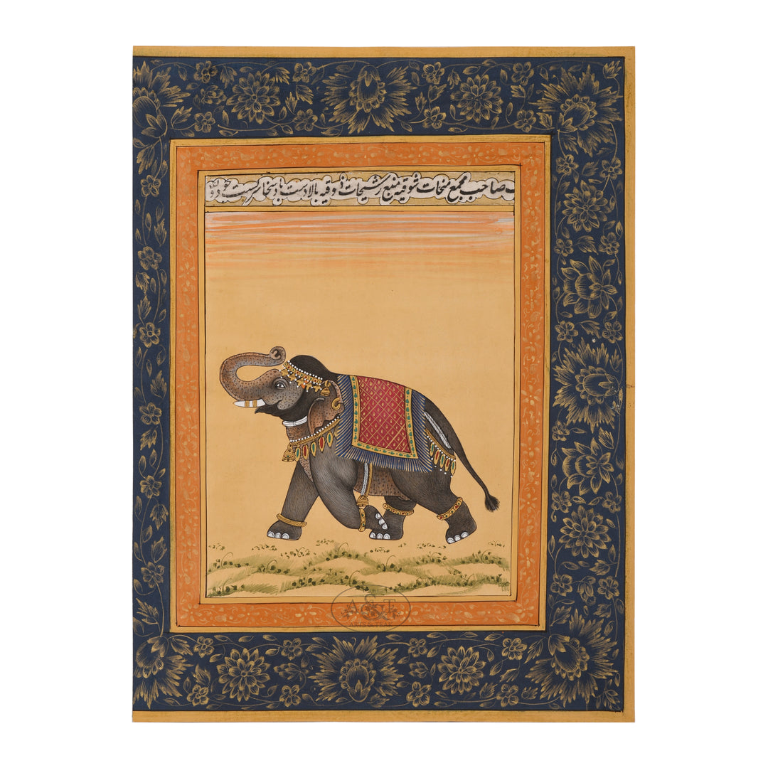 Elephant on Field
