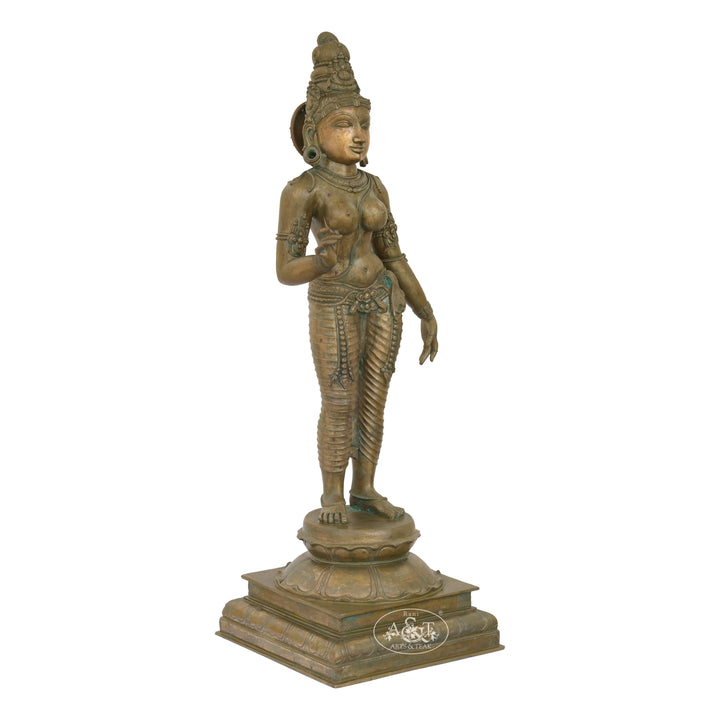 Bronze Sivagami - IV