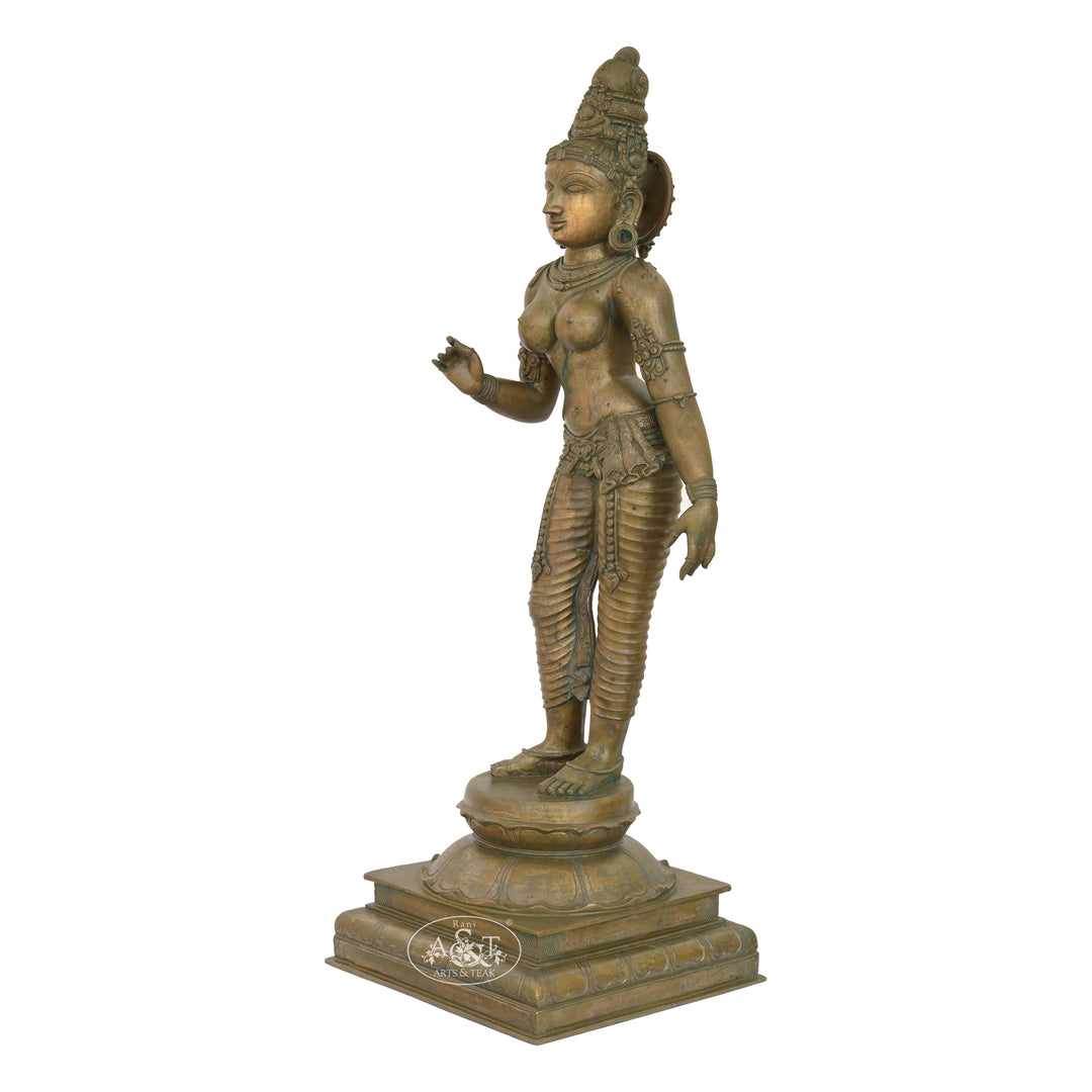 Bronze Sivagami - IV