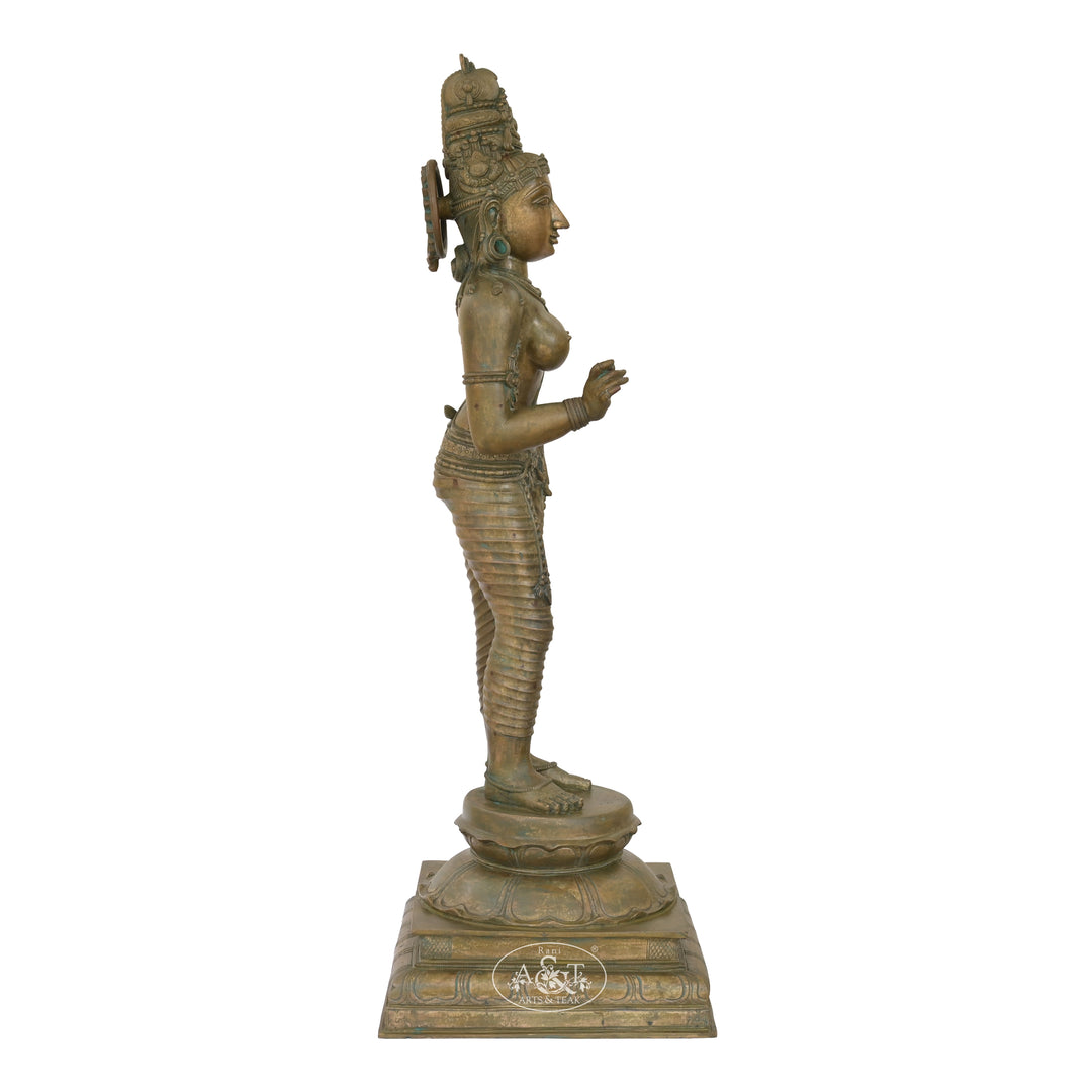 Bronze Sivagami - IV