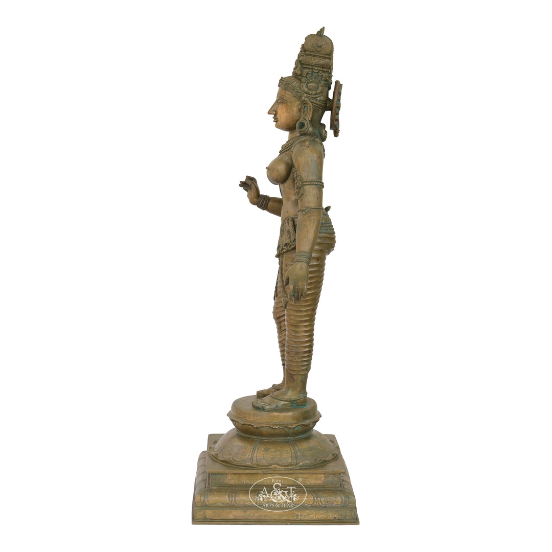 Bronze Sivagami - IV