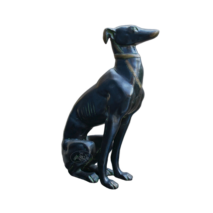 Greyhound Dog