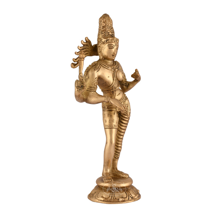Ardhanarishvar Shiva
