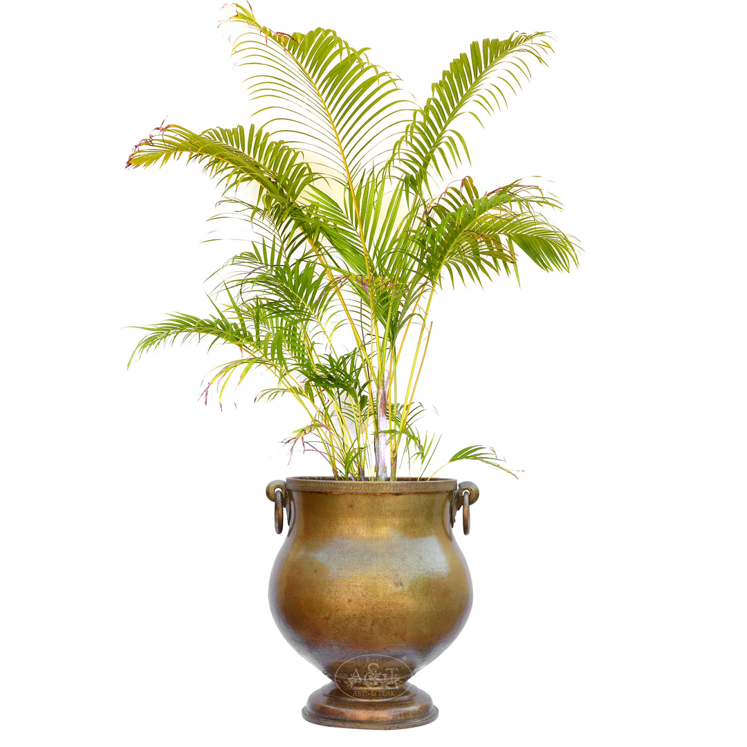 Brass Planter Vase