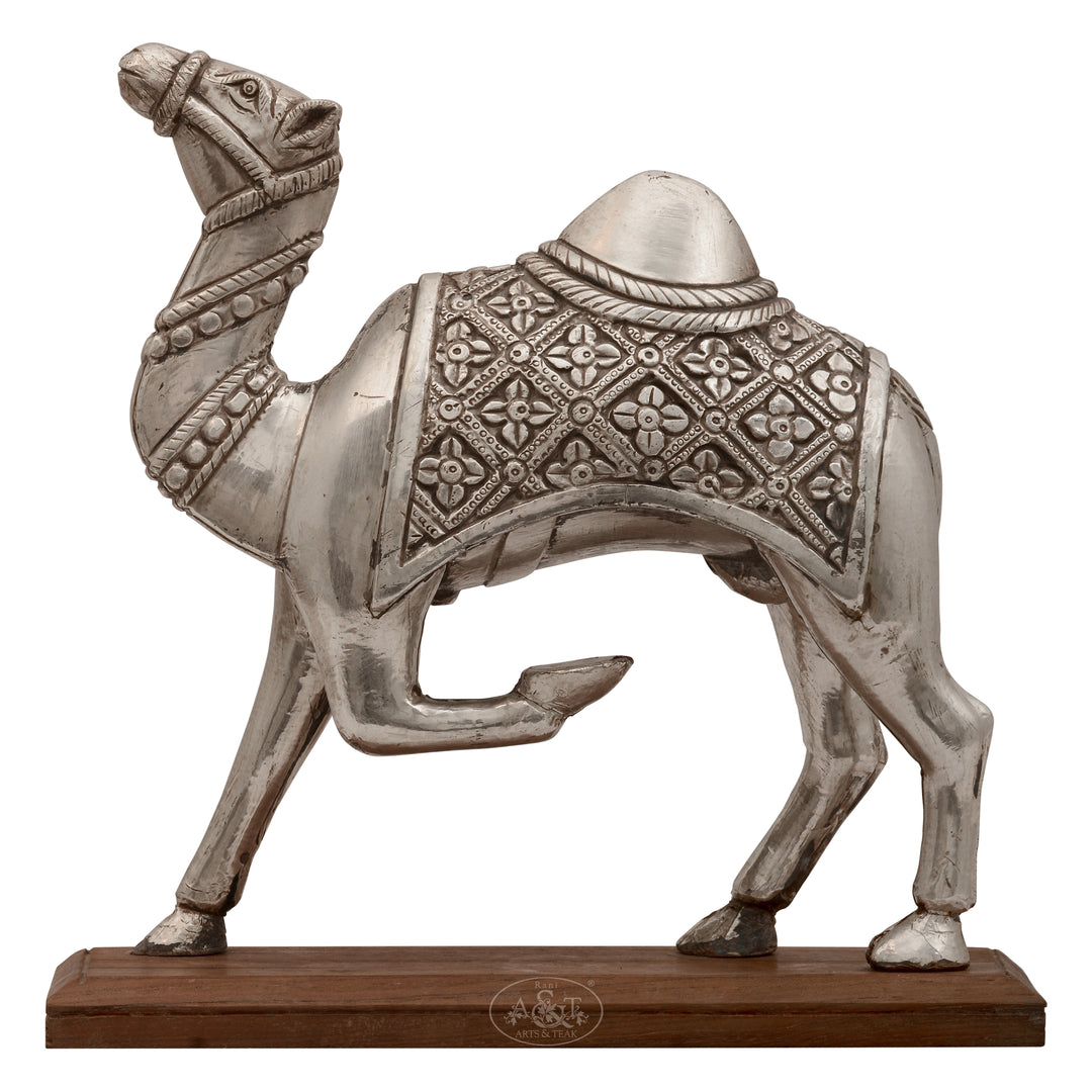 Silver Cladded Camel