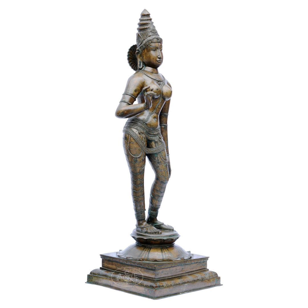 Bronze Sivagami