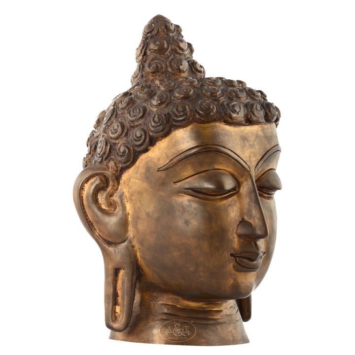 Brass Buddha Head