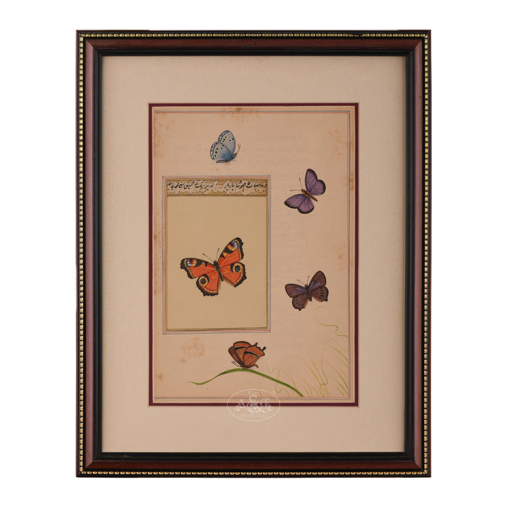 Painting on Urdu Manuscript  - Butterfly