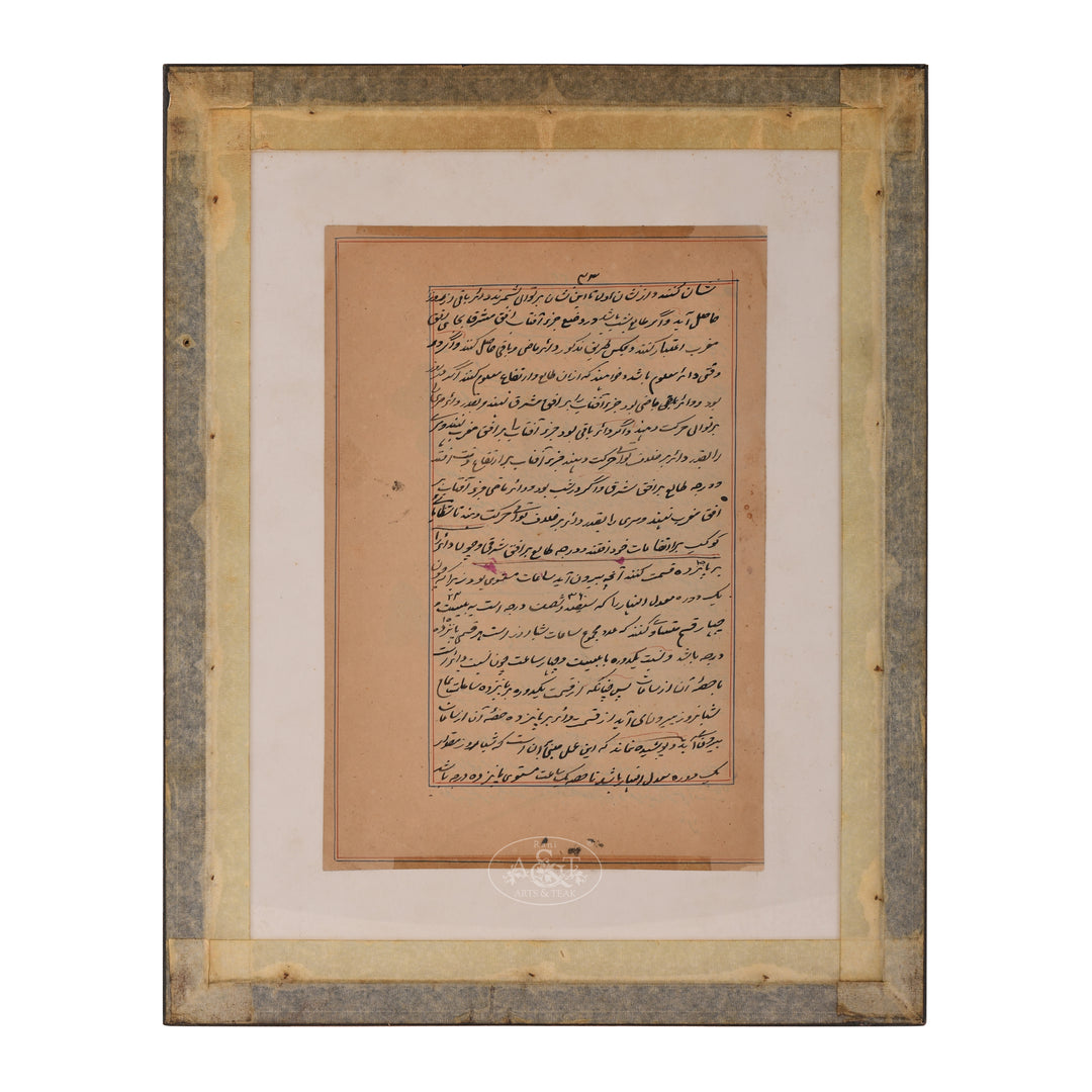 Painting on Urdu Manuscript  - Butterfly