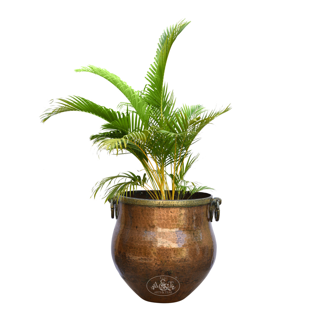 Copper Planter Vase -XIV
